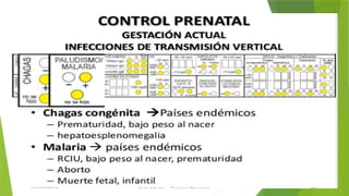 Comprehensive Guide to Prenatal Care and Health Monitoring | PPTX
