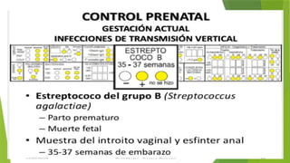 Comprehensive Guide to Prenatal Care and Health Monitoring | PPTX