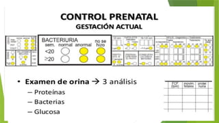 Comprehensive Guide to Prenatal Care and Health Monitoring | PPTX