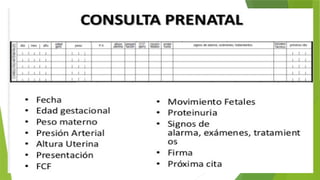 Comprehensive Guide to Prenatal Care and Health Monitoring | PPTX