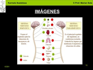 IMÁGENES 