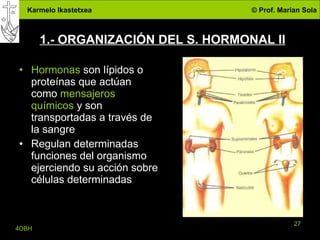 1.- ORGANIZACIÓN DEL S. HORMONAL II Hormonas  son lípidos o proteínas que actúan como  mensajeros químicos  y son transportadas a través de la sangre Regulan determinadas funciones del organismo ejerciendo su acción sobre células determinadas 