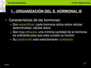 1.- ORGANIZACIÓN DEL S. HORMONAL III Características de las hormonas: Son  específicas : cada hormona actúa sobre células determinadas: células diana Son muy  eficaces : una mínima cantidad de la hormona es suficiente para que esta cumpla su función Su  producción  esta estrictamente  controlada  