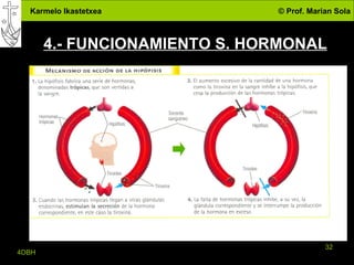 4.- FUNCIONAMIENTO S. HORMONAL 