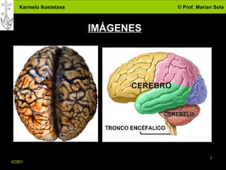 IMÁGENES 