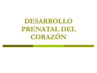 DESARROLLO PRENATAL DEL CORAZÓN 