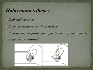  Epithelial invasion
 From the meatus/outer drum surface
 Pre-existing perforation(marginal)-part of the annulus
tympanicus- destroyed
20
 