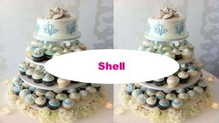 Shell
 