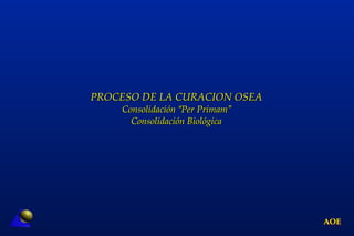 AOE
PROCESO DE LA CURACION OSEA 
Consolidación “Per Primam” 
Consolidación Biológica
 