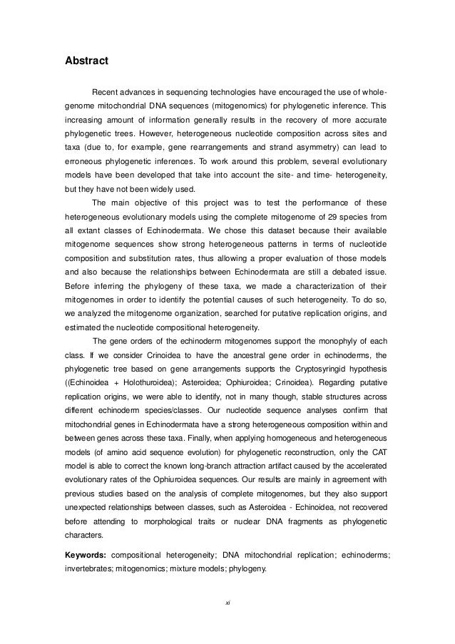 Types of equivalence in translation picture