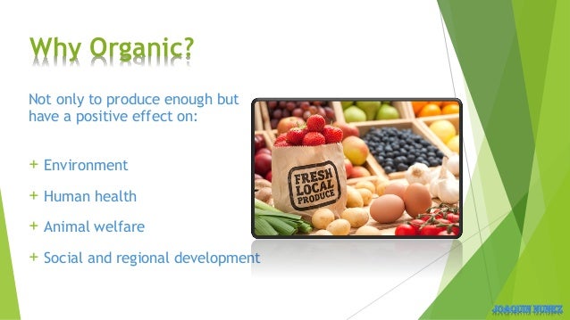 Example About Transportation Natural Foods Example About Transportation Natural Foods