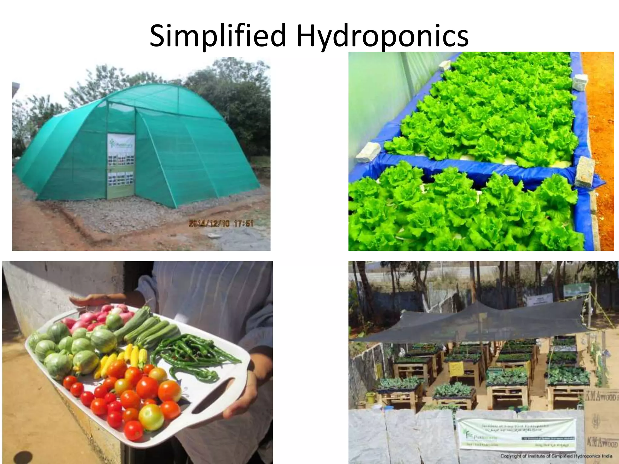 Simplified Hydroponics
 