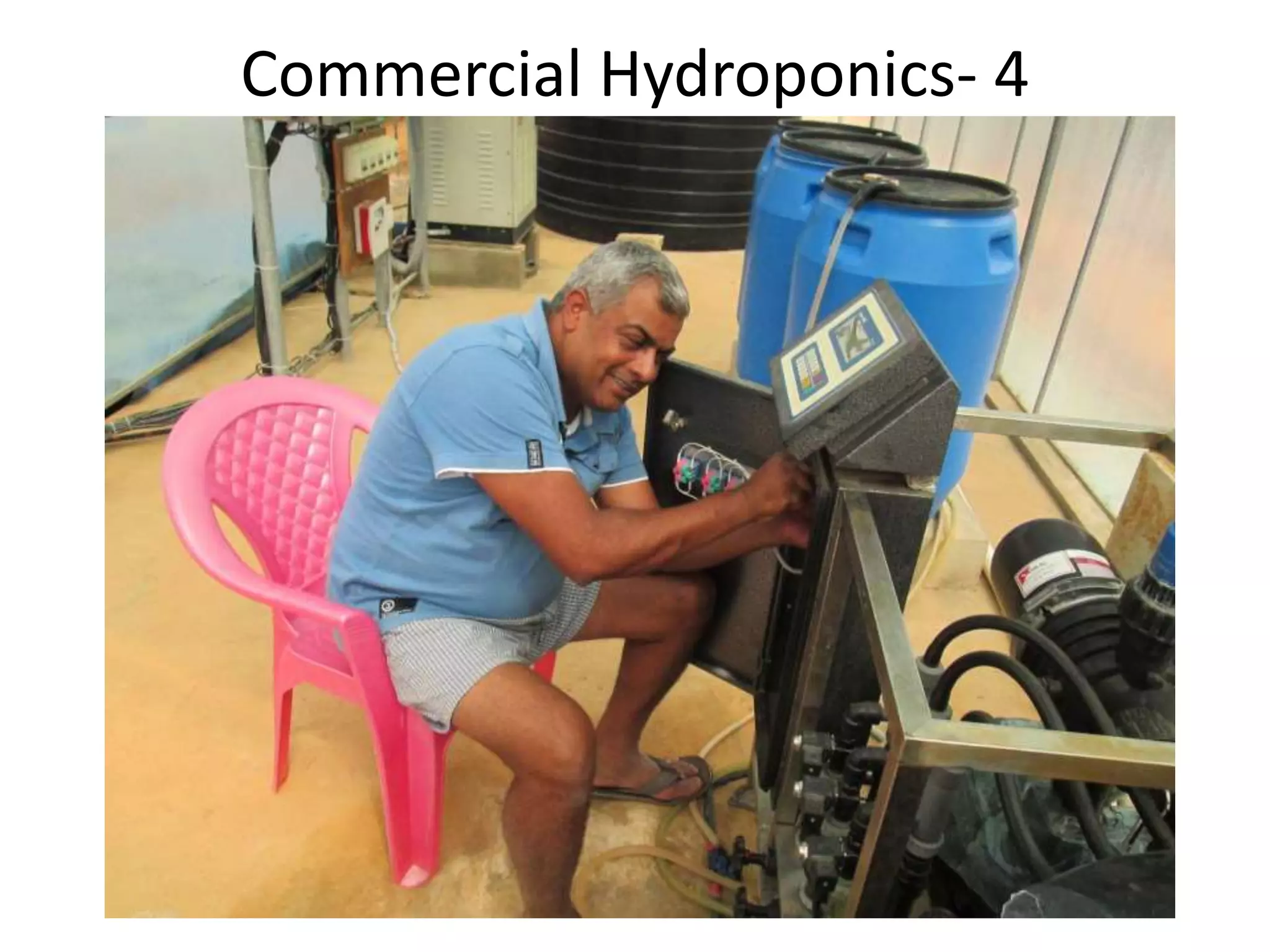 Commercial Hydroponics- 4
 