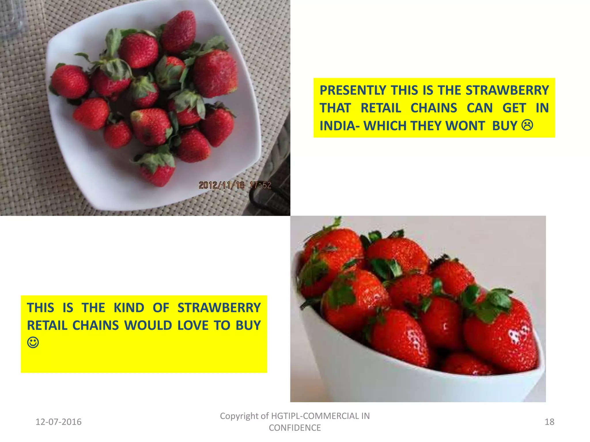 12-07-2016
Copyright of HGTIPL-COMMERCIAL IN
CONFIDENCE
18
PRESENTLY THIS IS THE STRAWBERRY
THAT RETAIL CHAINS CAN GET IN
INDIA- WHICH THEY WONT BUY 
THIS IS THE KIND OF STRAWBERRY
RETAIL CHAINS WOULD LOVE TO BUY

 
