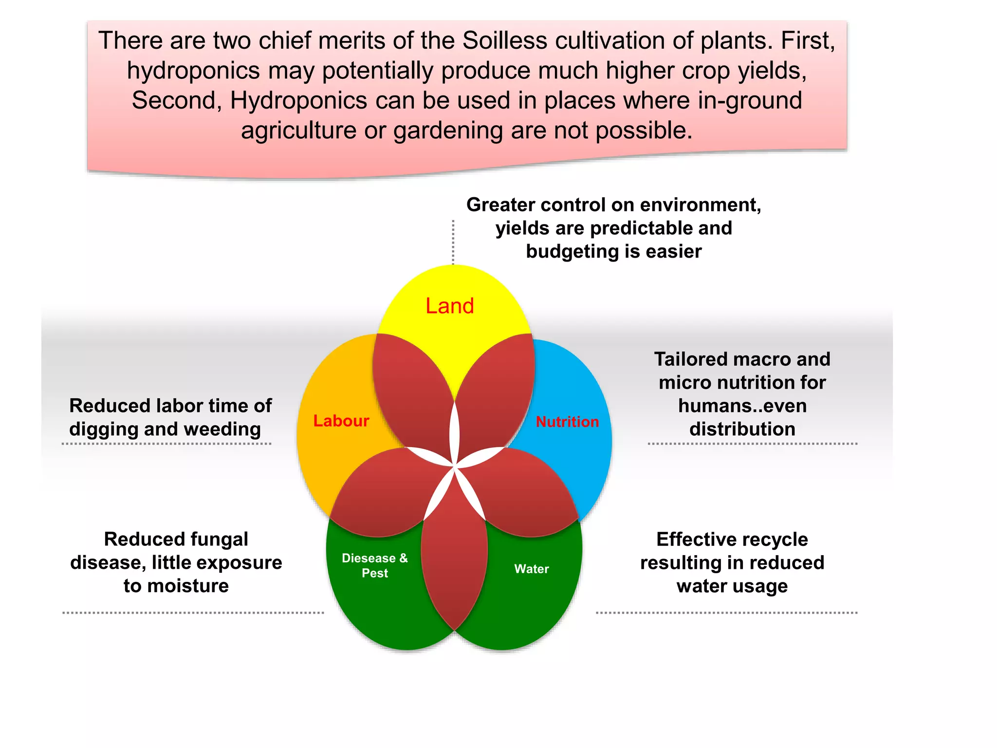 Primary benefits of Hydroponic cultivation
Reduced labor time of
digging and weeding
Reduced fungal
disease, little exposure
to moisture
Greater control on environment,
yields are predictable and
budgeting is easier
Tailored macro and
micro nutrition for
humans..even
distribution
Effective recycle
resulting in reduced
water usage
Land
Labour Nutrition
Diesease &
Pest Water
There are two chief merits of the Soilless cultivation of plants. First,
hydroponics may potentially produce much higher crop yields,
Second, Hydroponics can be used in places where in-ground
agriculture or gardening are not possible.
 