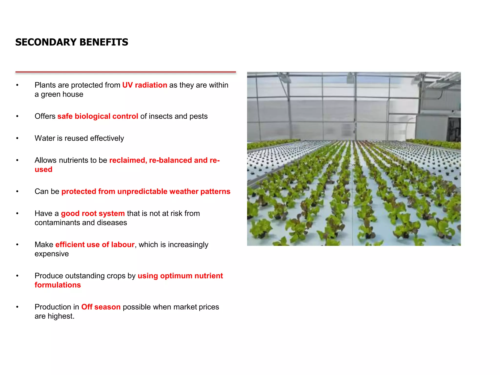 Secondary benefits
SECONDARY BENEFITS
• Plants are protected from UV radiation as they are within
a green house
• Offers safe biological control of insects and pests
• Water is reused effectively
• Allows nutrients to be reclaimed, re-balanced and re-
used
• Can be protected from unpredictable weather patterns
• Have a good root system that is not at risk from
contaminants and diseases
• Make efficient use of labour, which is increasingly
expensive
• Produce outstanding crops by using optimum nutrient
formulations
• Production in Off season possible when market prices
are highest.
 
