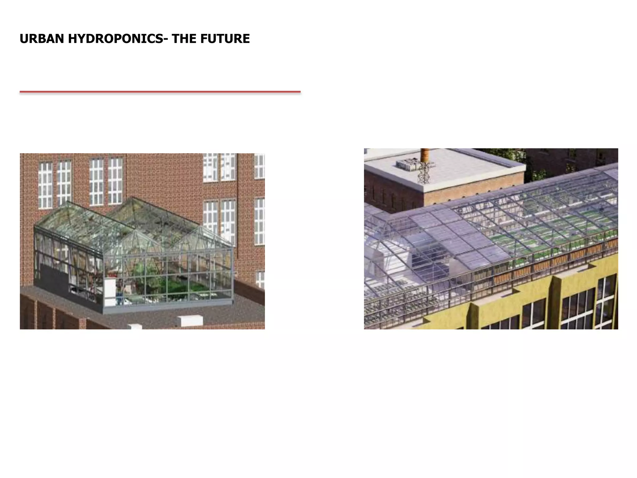 Hydroponics in Urban areas
URBAN HYDROPONICS- THE FUTURE
 