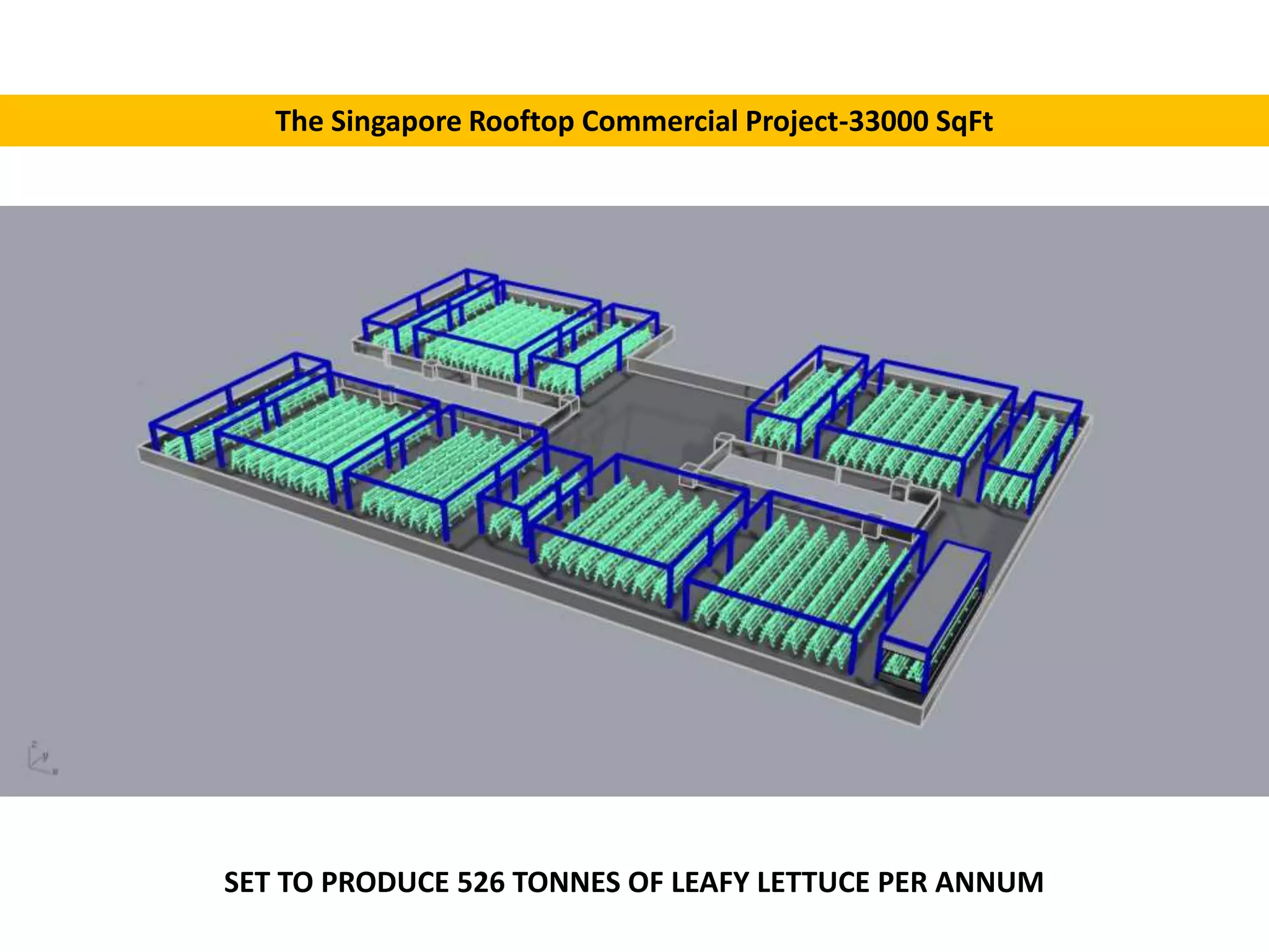 The Singapore Rooftop Commercial Project-33000 SqFt
SET TO PRODUCE 526 TONNES OF LEAFY LETTUCE PER ANNUM
 