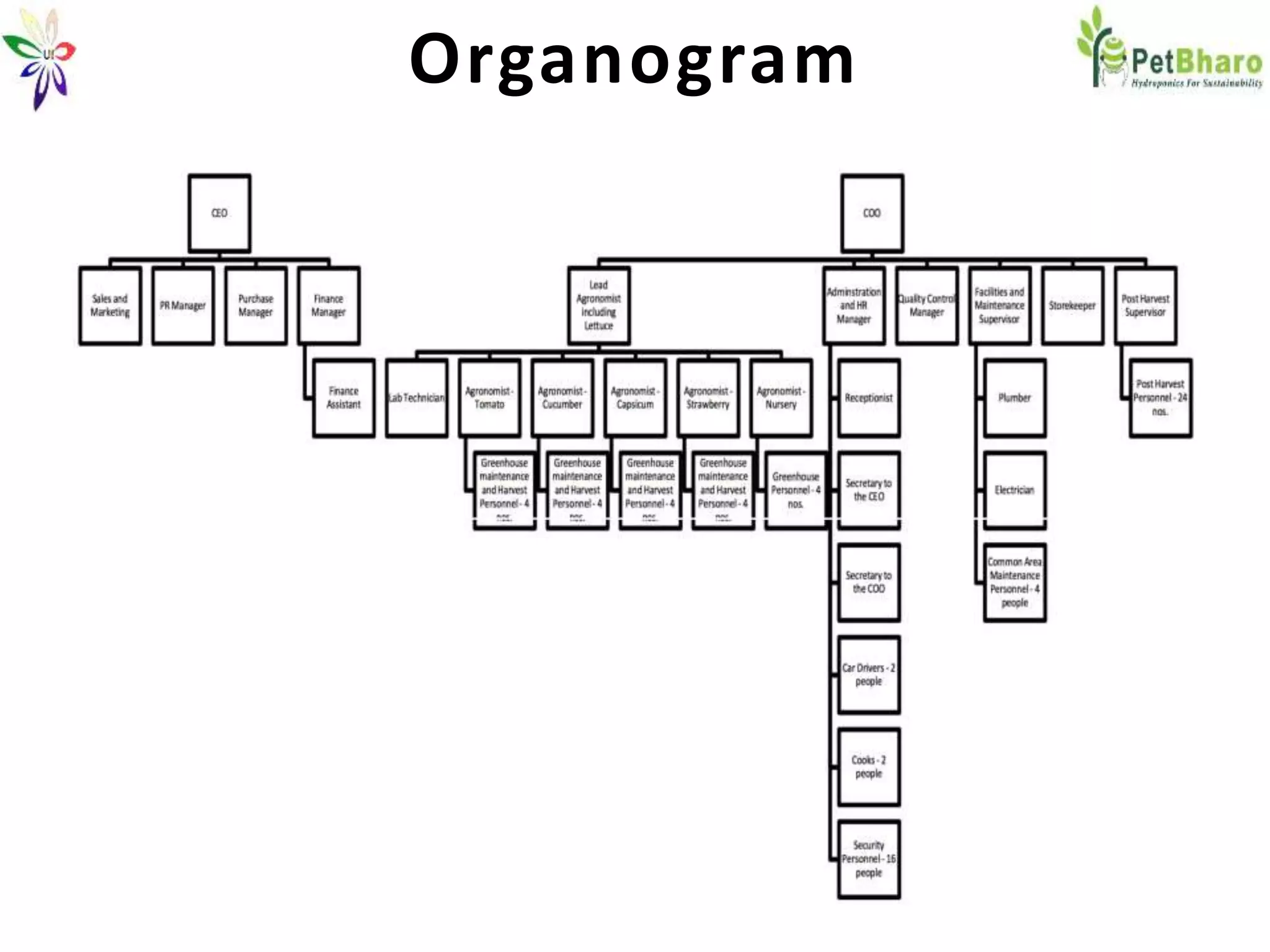 Organogram
 