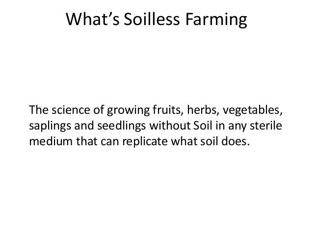 soilless vegetable greenhouse business plan hindi