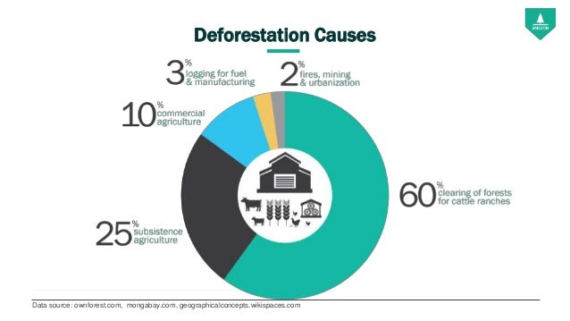the causes of the deforestation of earth People have been deforesting the earth for thousands of years direct causes of deforestation are agricultural expansion, wood extraction (eg, logging or wood harvest for domestic fuel or charcoal). the causes of the deforestation of earth People have been deforesting the earth for thousands of years direct causes of deforestation are agricultural expansion, wood extraction (eg, logging or wood harvest for domestic fuel or charcoal).