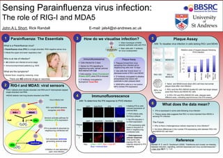 Sensing Parainfluenza virus infection:
The role of RIG-I and MDA5
John A L Short, Rick Randall E-mail: jals4@st-andrews.ac.uk
Parainfluenza: The Essentials
What is a Parainfluenza virus?
 Parainfluenza virus (PIV) is a single stranded, RNA negative sense virus
 Infects the upper and lower respiratory tract
Who is at risk of infection?
 All children are infected at some stage
 Immunocompromised patients e.g. AIDS
What are the symptoms?
 Severe fever, coughing, sneezing, croup
There are NO antiviral drugs or vaccines
1
RIG-I and MDA5: viral sensors
RIG-I detects short double stranded viral RNA and 5’ triphosphate capped
single stranded viral RNA
MDA5 detects viral long double stranded viral RNA
RIG-I MDA5
IFNCell
Antiviral
IFN
2
Virus Infects Cell
RIG-I and MDA5 sensors
recognise viral RNA
Sensors activate pathway for
Interferon (IFN) expression
IFN is secreted & absorbed by
neighbouring uninfected cell
Cell expresses antivirals,
generating antiviral state
Inhibition of viral replication
upon viral infection
3 How do we visualise infection?
Plaque Assay
 Plaques formed from virus
spreading from infected cell to
neighbouring cells over 10 days
 Use cells that “knock down” or
decrease levels of RIG-I and MDA5
 2o Antibody conjugated to alkaline
phosphatase that reacts with
substrate to stain plaques black
 A549 NPro cells is a +ve control:
NPro inhibits IFN expression
Immunofluorescence
 Cells infected for 2 days
 Marker for IFN signalling to
neighbouring cells: cellular antiviral
MxA stained with Cy5
 Cells express Green Fluorescent
Protein (GFP) when IFN is induced
 2o Antibody conjugated to
fluorophore Texas Red
Plaque
2
MergeAnti-MxAAnti-PIV5GFP
Plaque
1
4
Mock
GFP +IFN-IFNAnti-PIV5
Immunofluorescence
- AIM: To determine the IFN response to PIV5 infection
Key: Green = GFP; Red = Viral NP;
Blue = Antiviral MxA
 Adding IFN to cells
induces expression of
antiviral MxA
 PIV5 infects cells,
forming a plaque
 No IFN induction =
no MxA expression
 IFN expressing cells
leads to induction of
MxA in neighbouring
uninfected cells
 Heterogeneous
cellular response:
Only some cells
express IFN, the
majority respond to IFN
signaling
 Infect monolayer of A549
alveolar epithelial cells with PIV5
NPro +ve
Control
Naïve MDA5 KD
RIG-I KD RIG-I/
MDA5 KD
0
0.5
1
1.5
2
2.5
3
Naïve
MDA5KD
RIG-IKD
RIG-
I/MDA5
KD
Npro+ve
Control
Relative sizes of largest plaques following
PIV5 infection
PlaquesizerelativetoNaive
5 Plaque Assay
- AIM: To visualise virus infection in cells lacking RIG-I and MDA5
 Naïve and MDA5 knock down (KD) cell lines had similar
plaque sizes after viral infection
 RIG-I and the RIG-I/MDA5 double KD cells had larger plaque
sizes than Naïve and MDA5 KD cells
 In RIG-I KD and RIG-I/MDA5 KD cells, plaques were
different sizes, indicating asynchronous viral IFN evasion
6 What does the data mean?
 IFN is expressed in some cells following virus infection
 Plaque assay data suggests that RIG-I is more important than MDA5 in
sensing PIV infection
The Future:
 Why is there a heterogeneous cellular response to virus infection?
 Are there differences in the number IFN expressing cells between RIG-I KD
and MDA5 KD cell lines?
7 Reference
Randall, R. E. and S. Goodbourn (2008). "Interferons and viruses: an interplay
between induction, signalling, antiviral responses and virus countermeasures."
J Gen Virol 89(Pt 1): 1-47.
 Stain cells with 1o antibody
for virus nucleoprotein
 