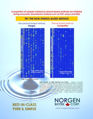 www.norgenbiotek.com
Better Diversity of miRNA Detected from Plasma. Norgen’s Total RNA
Purification Kit isolates miRNA from plasma with better diversity than a leading
competitor. Total RNA including miRNA was isolated from 100 µL of plasma
using Norgen's Total RNA Purification Kit or 625 µL of plasma using Competitor
A's leading miRNA Kit, and was applied to an NCode expression profiling kit.
Microarray images suggested that Norgen’s Total RNA Purification Kit (left)
isolates a better diversity of miRNA from a smaller input amount of plasma
than the competitor’s miRNA kit (right). Image courtesy of LC Sciences,
Houston. (www.lcsciences.com).
BESTBEST--ININ--CLASSCLASS
PURE & SIMPLEPURE & SIMPLE
Non-phenol based method
Norgen
Phenol based method
Competitor
A proportion of samples isolated by phenol-based methods are inhibited
during enzymatic downstream analysis such as PCR, arrays and NGS
TRY THE NON-PHENOL BASED METHOD
 
