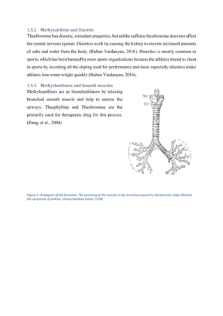1.5.2 Methyxanthine and Diuretic
Theobromine has diuretic, stimulant properties, but unlike caffeine theobromine does not affect
the central nervous system. Diuretics work by causing the kidney to excrete increased amounts
of salts and water from the body. (Ruben Vardanyan, 2016). Diuretics is mostly common in
sports, which has been banned by most sports organizations because the athletes intend to cheat
in sports by excreting all the doping used for performance and most especially diuretics make
athletes lose water wright quickly (Ruben Vardanyan, 2016).
1.5.3 Methyxlanthines and Smooth muscles
Methylxanthines act as bronchodilators by relaxing
bronchial smooth muscle and help to narrow the
airways. Theophylline and Theobromine are the
primarily used for therapeutic drug for this process.
(Rang, et al., 2004)
Figure 5 :A diagram of the bronchus. The loosening of the muscles in the bronchus caused by theobromine helps alleviate
the symptoms of asthma. (Henry Vandyke Carter, 1918)
 