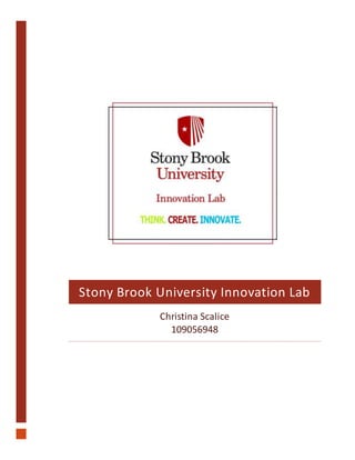 Stony Brook University Innovation Lab
Christina Scalice
109056948
 