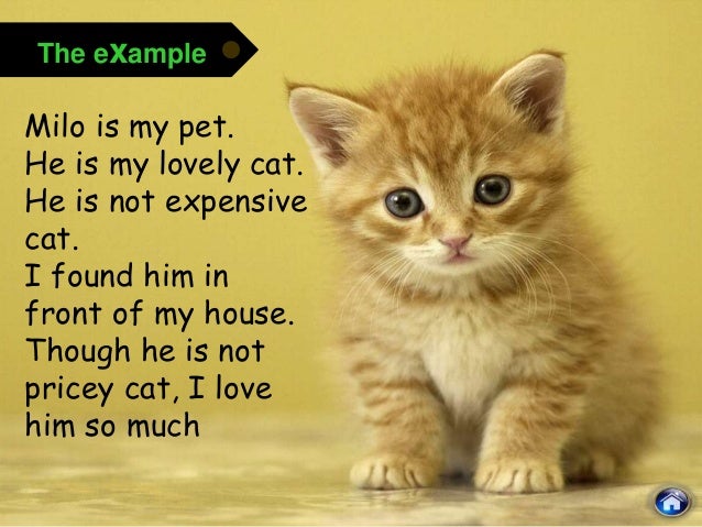 Descriptive Text