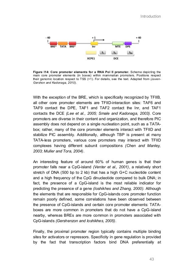 95 thesis of contention 95 thesis of contention