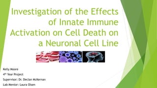 Investigation of the Effects
of Innate Immune
Activation on Cell Death on
a Neuronal Cell Line
Kelly Moore
4th Year Project
Supervisor: Dr. Declan McKernan
Lab Mentor: Laura Olsen
 
