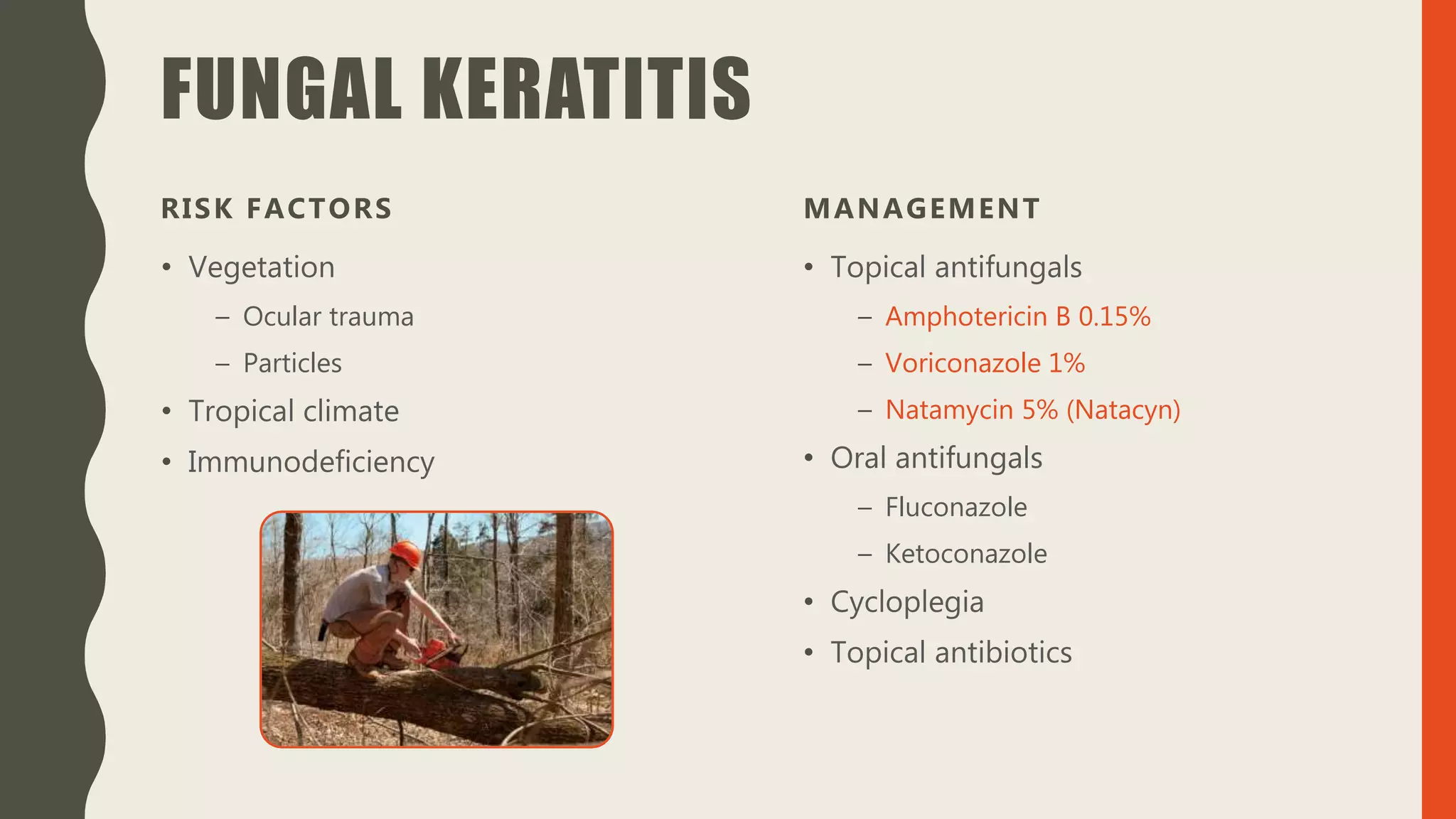 FUNGAL KERATITIS
RISK FACTORS
• Vegetation
– Ocular trauma
– Particles
• Tropical climate
• Immunodeficiency
MANAGEMENT
• Topical antifungals
– Amphotericin B 0.15%
– Voriconazole 1%
– Natamycin 5% (Natacyn)
• Oral antifungals
– Fluconazole
– Ketoconazole
• Cycloplegia
• Topical antibiotics
 