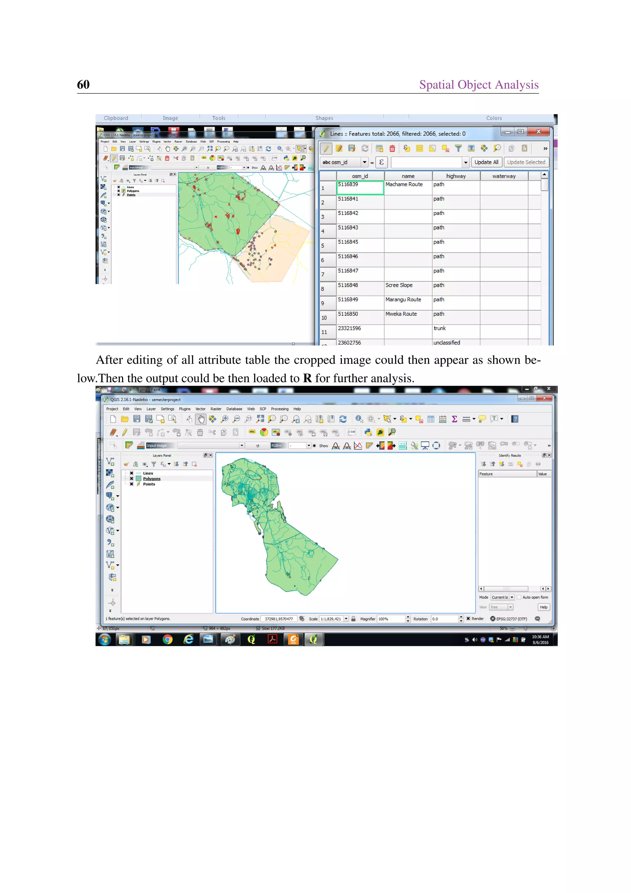 60 Spatial Object Analysis After editing of all attribute table the cropped image could then appear as shown be- low.Then the output could be then loaded to R for further analysis. 