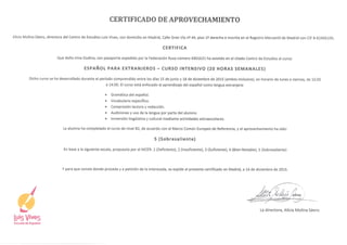 LuisVives_Certificate_Dec2015