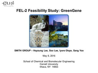 FEL-2 Feasibility Study: GreenGene
SMITH GROUP – Hayoung Lee, Soo Lee, Iyore Olaye, Sang Yoo
School of Chemical and Biomolecular Engineering
Cornell University
Ithaca, NY 14853
May 8, 2016
 