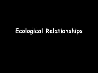 23/09/15
Ecological RelationshipsEcological Relationships
 