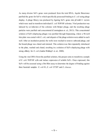 4th Year Project | PDF