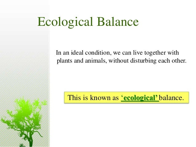 What is ecological balance?