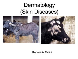 Dermatology
(Skin Diseases)
Karima Al Salihi
 