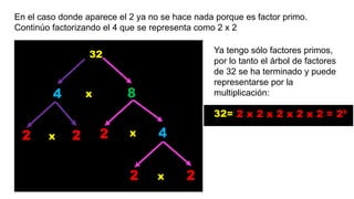 En el caso donde aparece el 2 ya no se hace nada porque es factor primo.
Continúo factorizando el 4 que se representa como 2 x 2
Ya tengo sólo factores primos,
por lo tanto el árbol de factores
de 32 se ha terminado y puede
representarse por la
multiplicación: