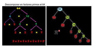 Descomponer en factores primos el 64