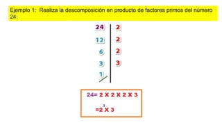 Ejemplo 1: Realiza la descomposición en producto de factores primos del número
24: