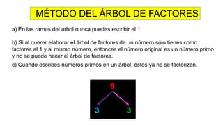 a) En las ramas del árbol nunca puedes escribir el 1.
b) Si al querer elaborar el árbol de factores de un número sólo tienes como
factores al 1 y al mismo número, entonces el número original es un número primo
y no se puede hacer el árbol de factores.
c) Cuando escribes números primos en un árbol, éstos ya no se factorizan.
MÉTODO DEL ÁRBOL DE FACTORES