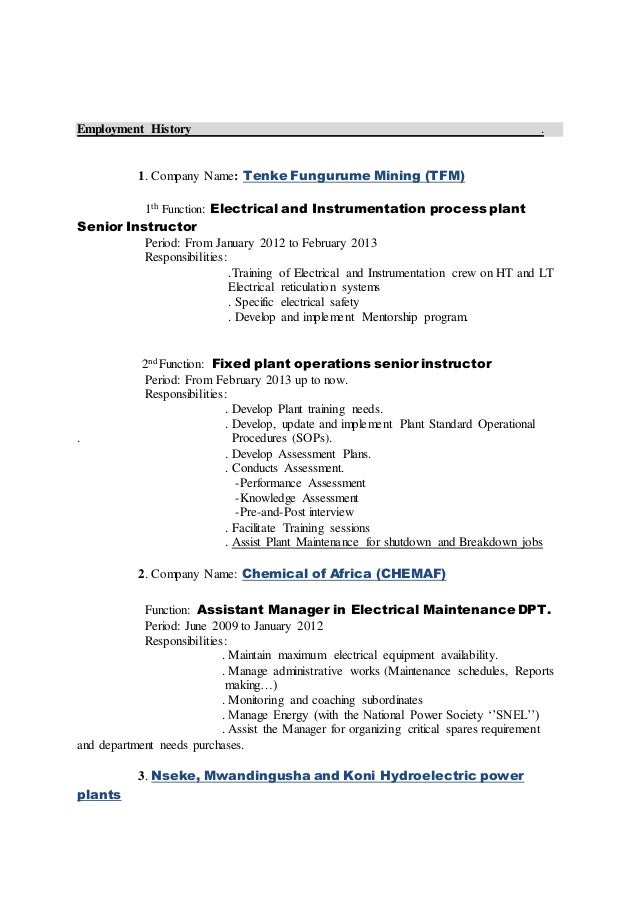 Curriculum vitae examples pdf image