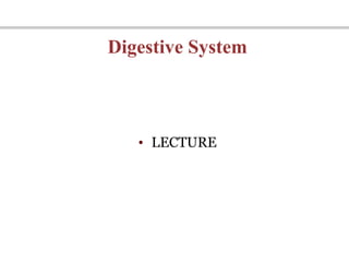Digestive System
• LECTURE
 