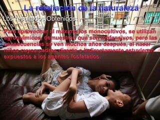 La retaliación de la naturalezaLos resultadosObtenidos:Para aprovechar al máximo los monocultivos, se utilizanagroquímicos, demuestranque son inofensivos, perolasconsecuencias se venmuchosañosdespués, al nacerniñoscuyos padres directa o indirectamenteestuvieronexpuestos a los agentesfosfatados.