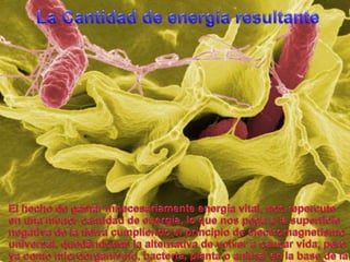 La Cantidad de energíaresultanteEl hecho de gastarinnecesariamenteenergía vital, nosrepercute en unamenorcantidad de energía, lo quenospega a la superficienegativa de la tierracumpliendo el principio de electromagnetismo universal, quedándonos la alternativa de volver a causarvida, peroyacomomicroorganismo, bacteria, planta o animal en la base de la piramidetrófica. 