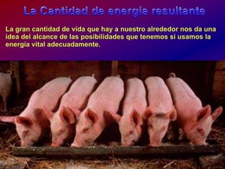 La Cantidad de energíaresultanteLa grancantidad de vidaque hay a nuestroalrededornosdauna idea del alcance de lasposibilidadesquetenemossiusamos la energía vital adecuadamente. 