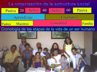 60ActivaPasiva40Activa20PasivaAprendizajeEnseñanzaComunidadFamiliaMaestrosPadresLa organización de la estructura socialCronología de lasetapas de la vida de un ser humano